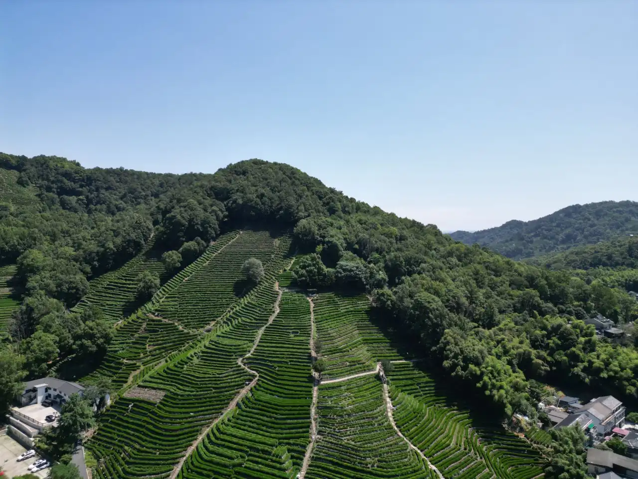 上海市房屋租赁市场2025年政策新规对长租公寓运营的影响分析