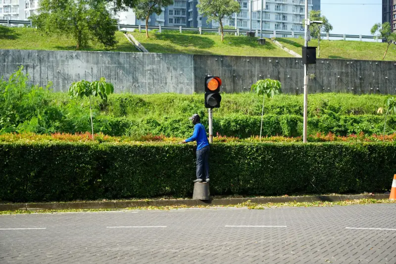 上海长租公寓租赁流程与资产管理服务细则解析封面图