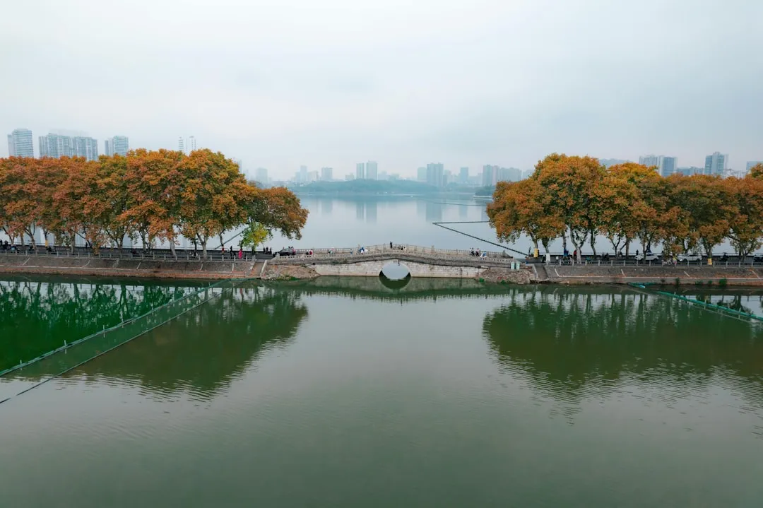 长租公寓资产管理的数字化转型：智能系统提升运营效率
